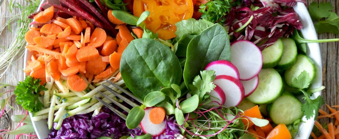 Qué es la microbiota intestinal y cómo cuidarla: guía sencilla para mejorar tu digestión